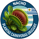 Nacho Plantas Carnívoras Uruguay