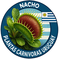 Nacho Plantas Carnívoras Uruguay