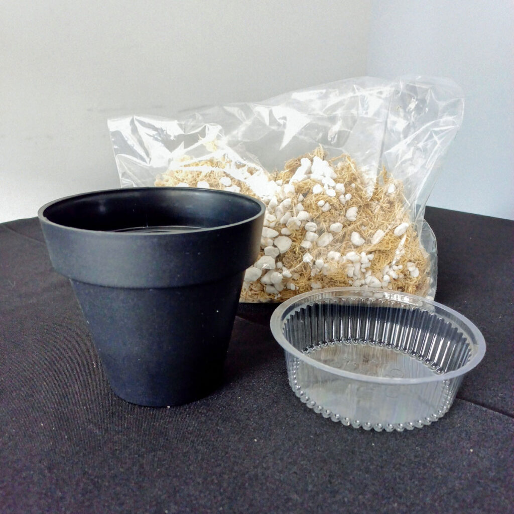 KIT - Sustrato y Maceta Plantas Carnívoras - Nacho Plantas Carnívoras Uruguay