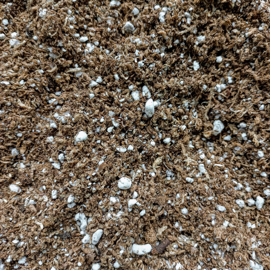 Sutrato para Plantas Carnívoras FINO 2L Puro PREMIUM - Nacho Plantas Carnívoras Uruguay