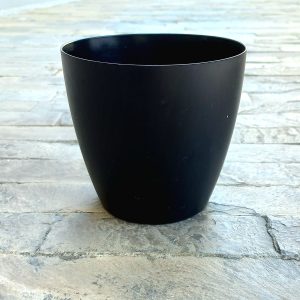 Maceta Importada 12 x 11 cms - Nacho Plantas Carnívoras Uruguay