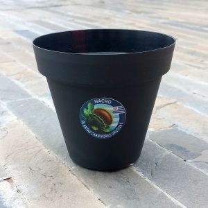 Maceta Importada 12 x 11 cms - Nacho Plantas Carnivoras Uruguay_1