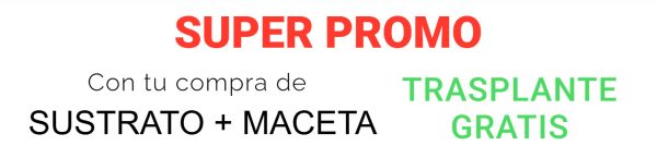 Banner Promo Trasplante - Nacho Plantas Carnivoras - Uruguay